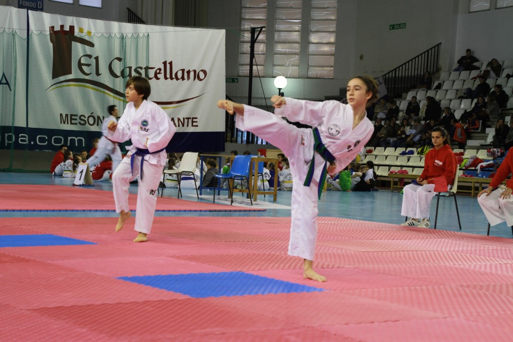 Taekwondo Dic 2016 (216).jpg